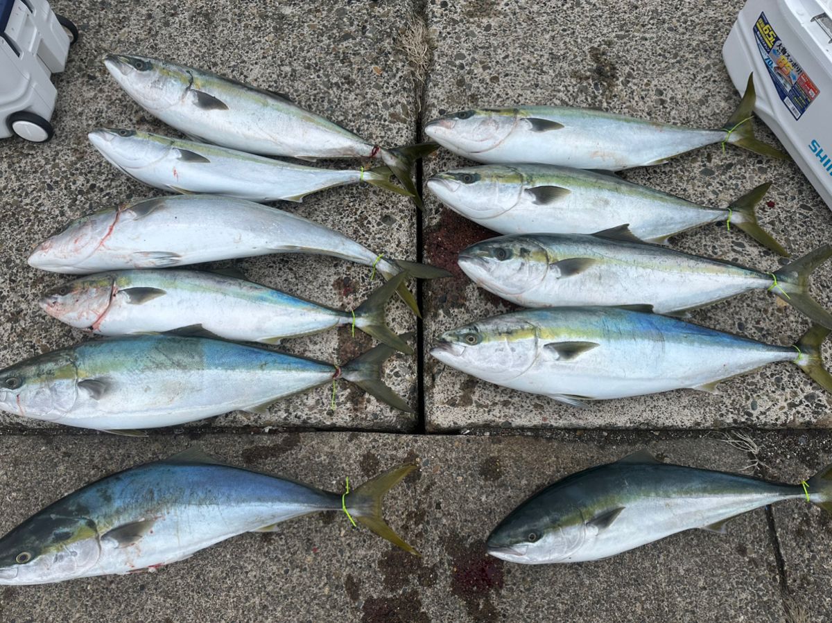 ホクロさんの釣果 1枚目の画像