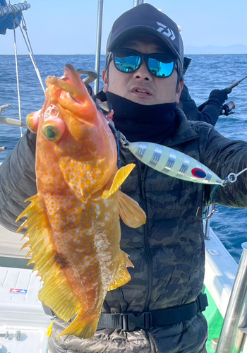 レンコダイの釣果