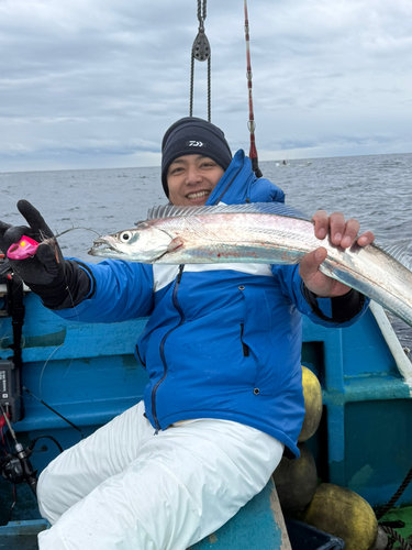 タチウオの釣果