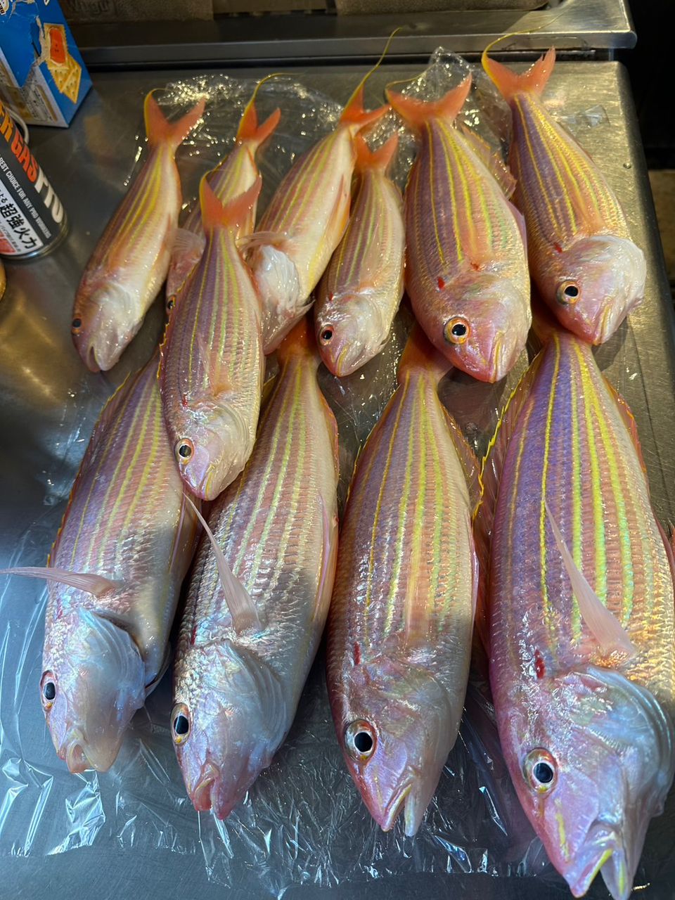 愛晃丸フィッシングさんの釣果 1枚目の画像