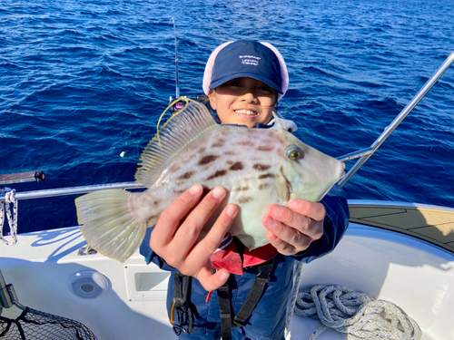 カワハギの釣果