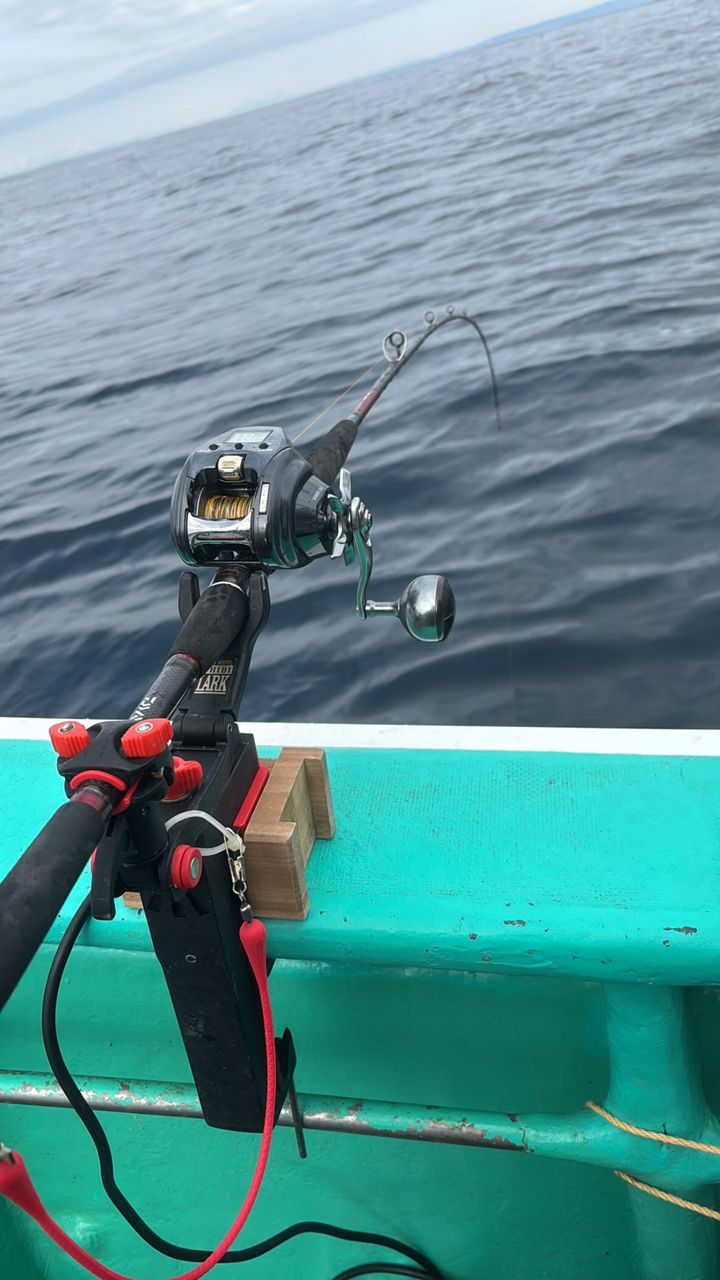 CFC SHUさんの釣果 2枚目の画像