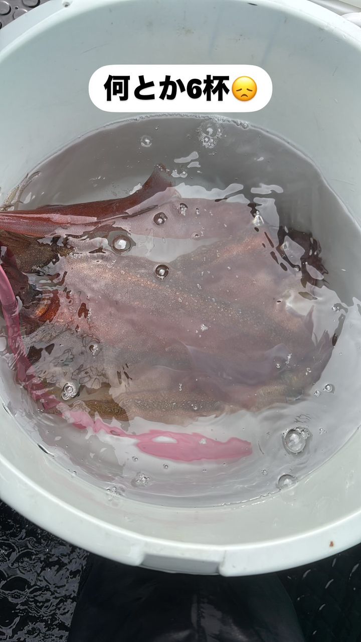 CFC SHUさんの釣果 3枚目の画像