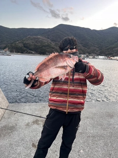 タイの釣果