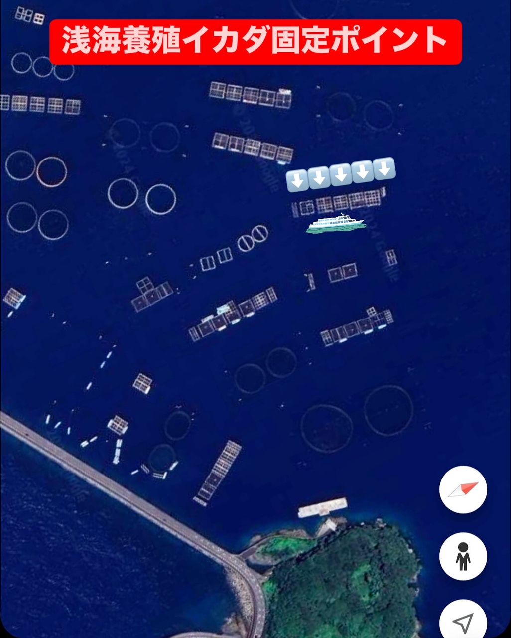 愛晃丸フィッシングさんの釣果 3枚目の画像