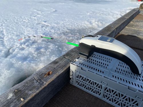 ワカサギの釣果