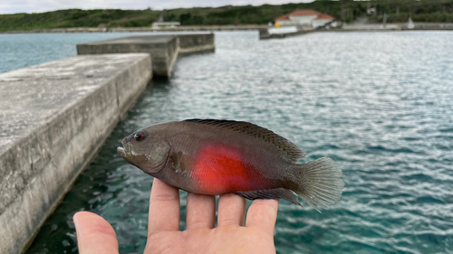 波照間島