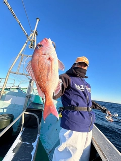 マダイの釣果