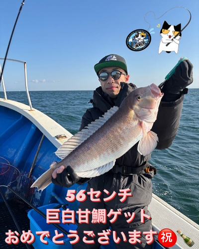 シロアマダイの釣果