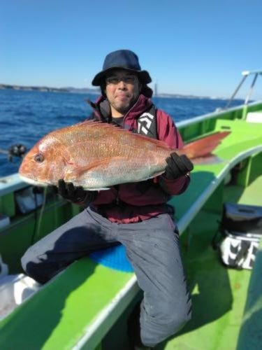 マダイの釣果