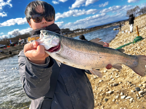 ニジマスの釣果