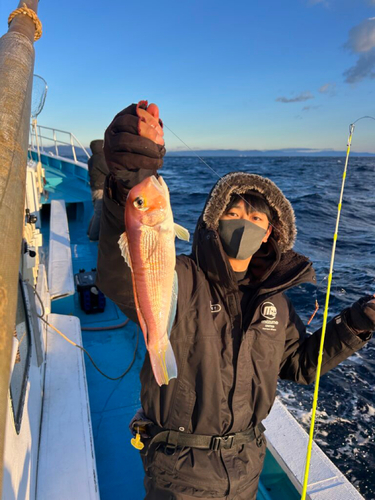 アマダイの釣果