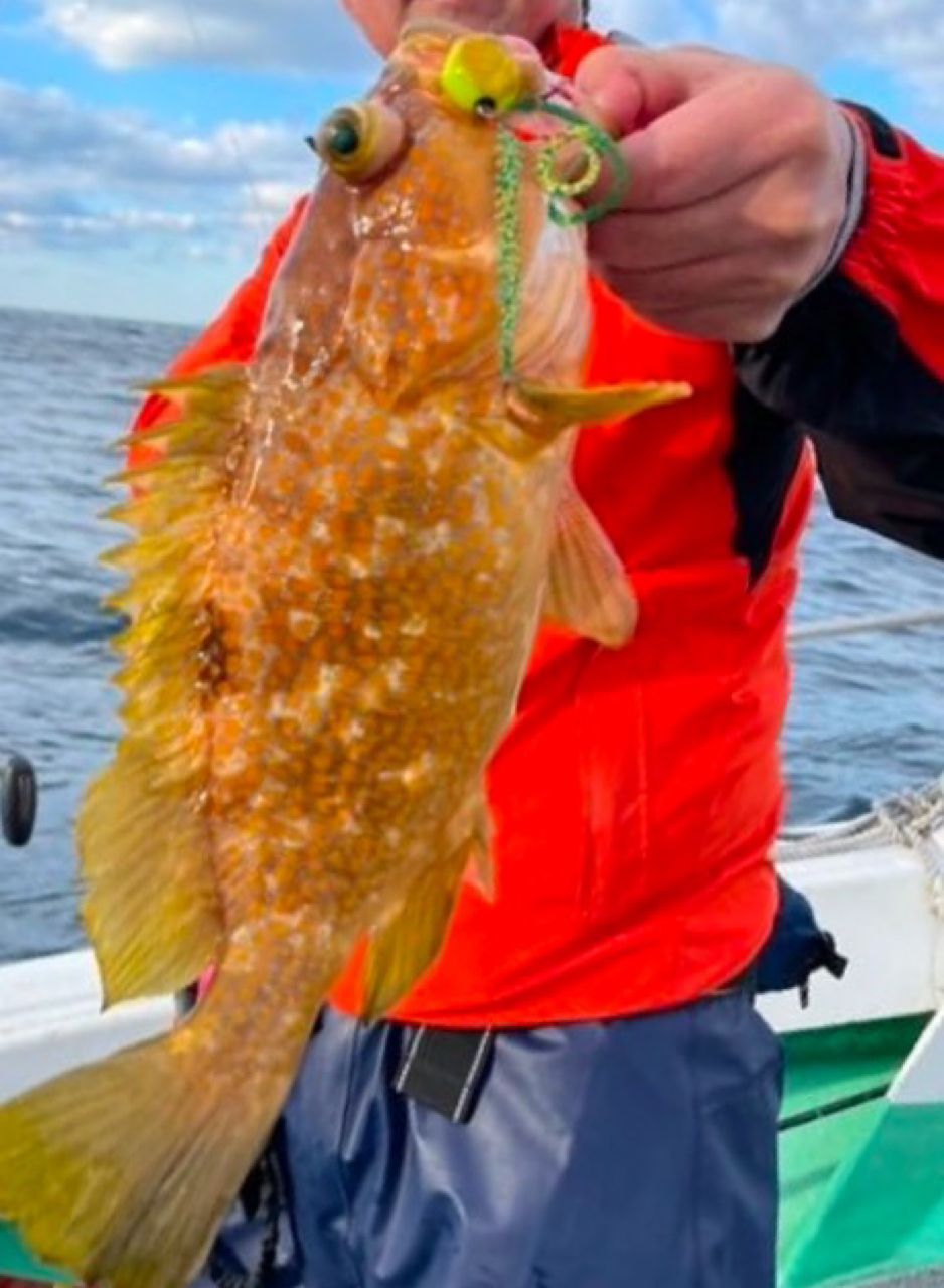 アングラー九州さんの釣果 1枚目の画像