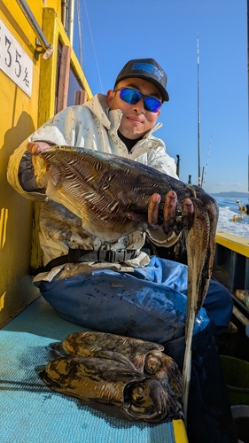 モンゴウイカの釣果