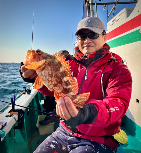 カワハギの釣果