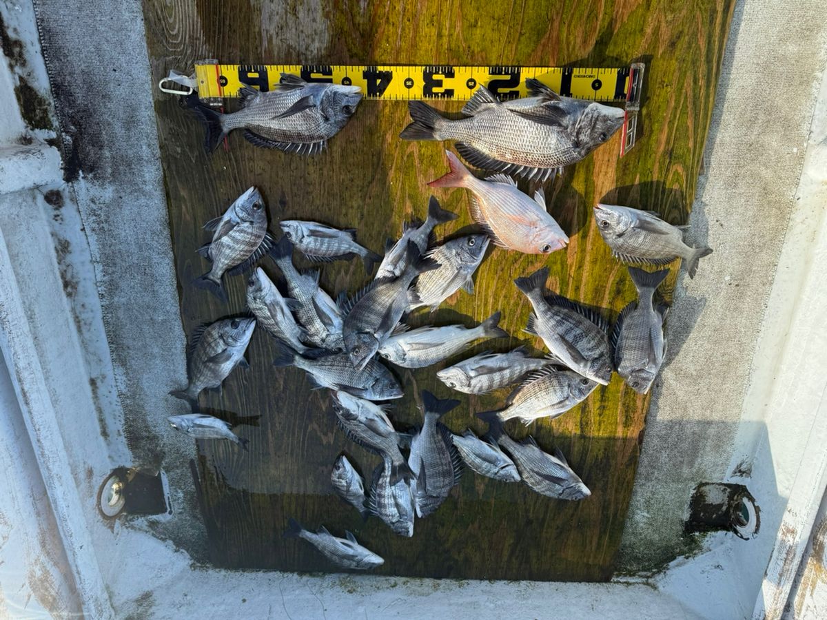 no-image