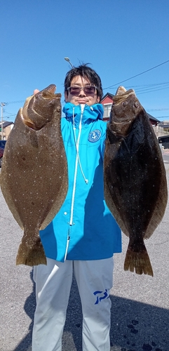 ヒラメの釣果