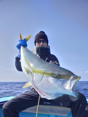 メジロの釣果