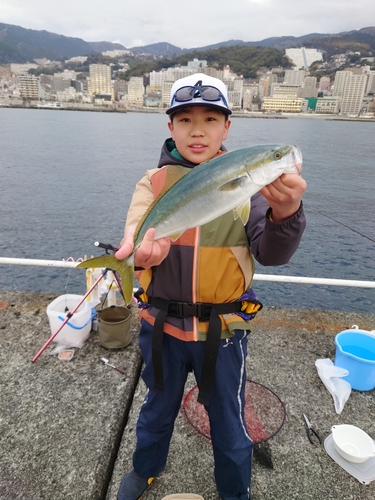 イナダの釣果