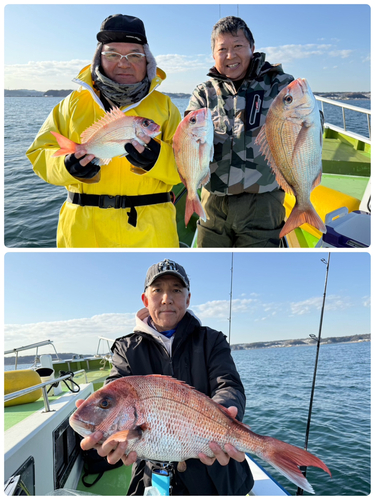 マダイの釣果