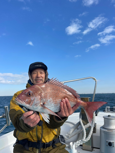 マダイの釣果