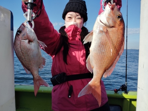 マダイの釣果