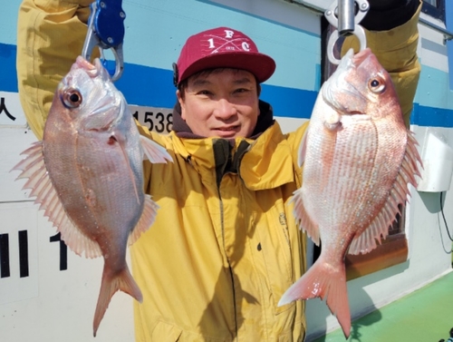 マダイの釣果