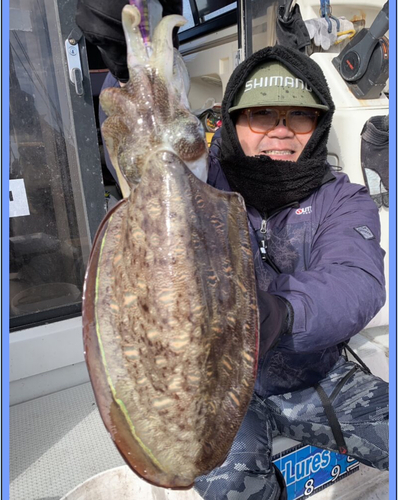 モンゴウイカの釣果