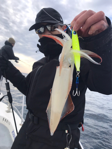 ケンサキイカの釣果