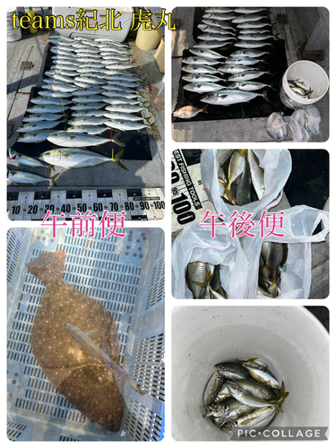 メジロの釣果