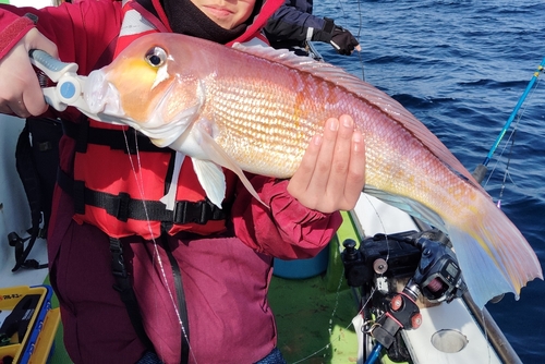 アカアマダイの釣果