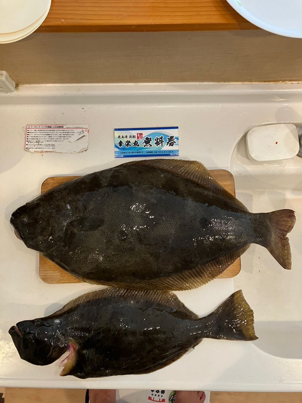 たけちよっとさんの釣果 1枚目の画像