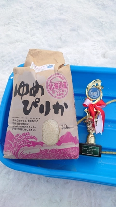 ワカサギの釣果