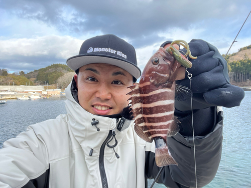 マハタの釣果