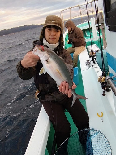 カンパチの釣果