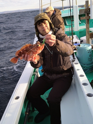 ウッカリカサゴの釣果