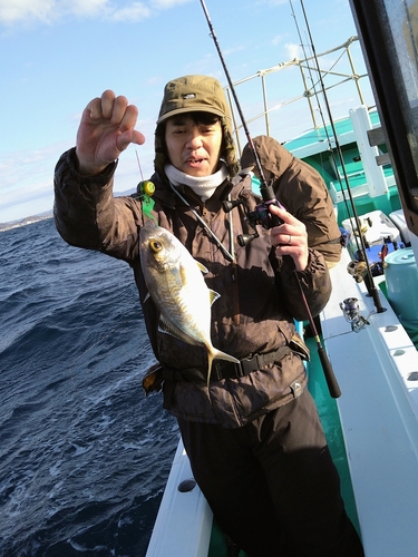 カイワリの釣果