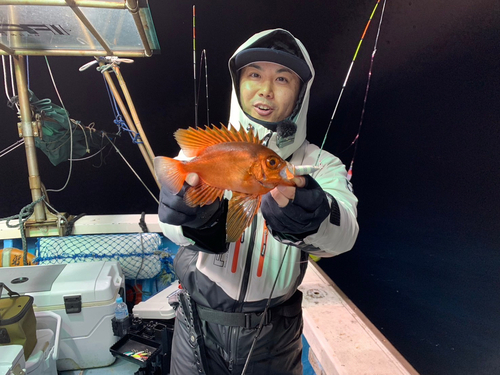 ホウセキキントキの釣果