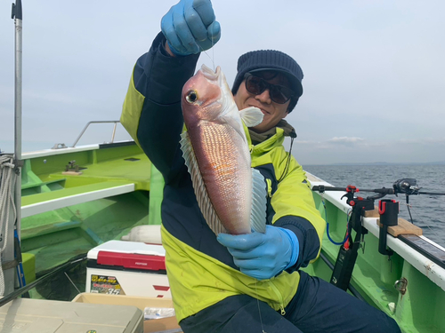 アカアマダイの釣果