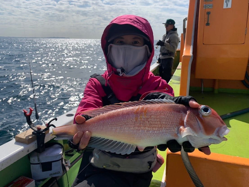 アカアマダイの釣果