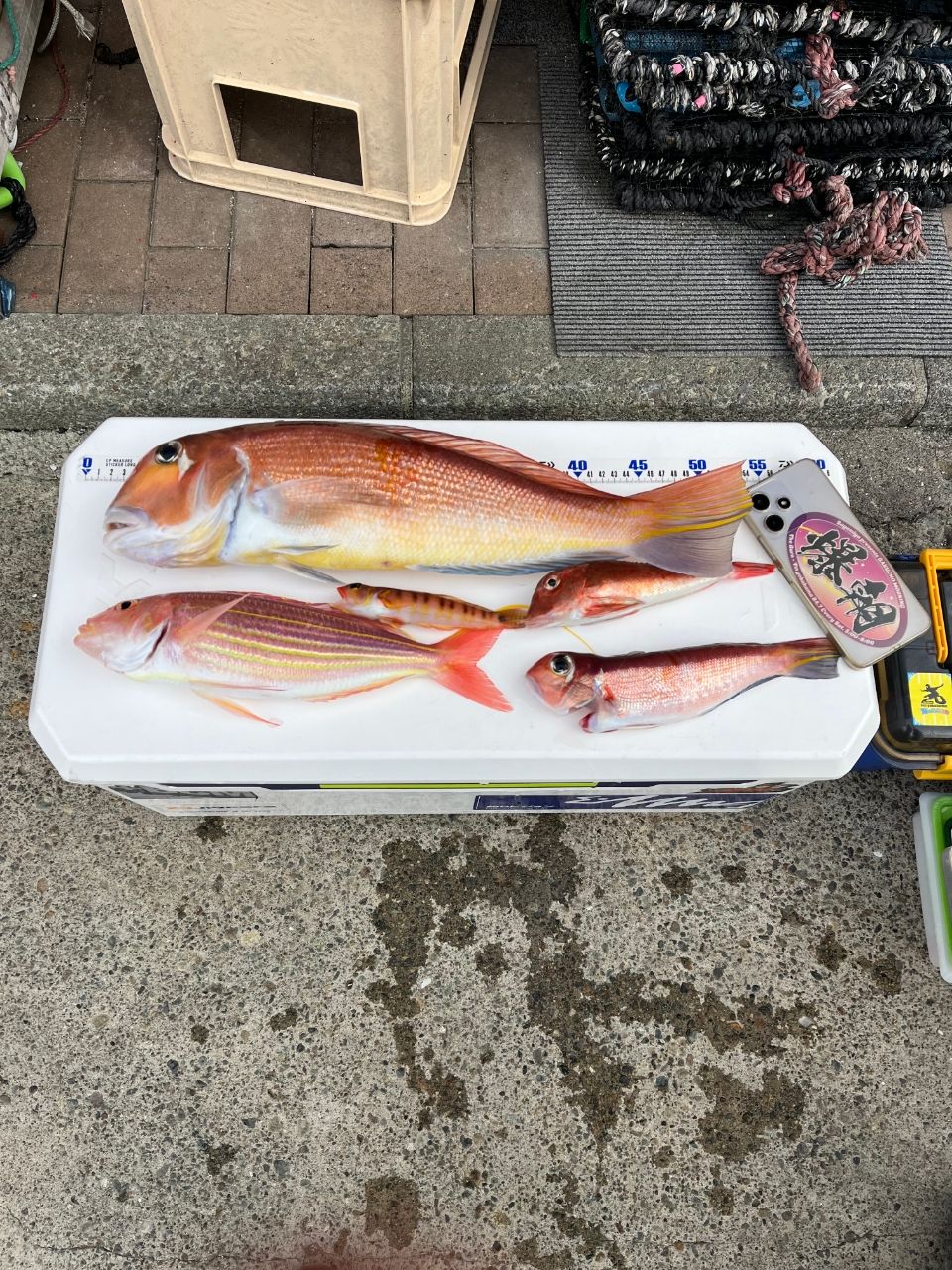 ＦＵＮＴＡさんの釣果 2枚目の画像