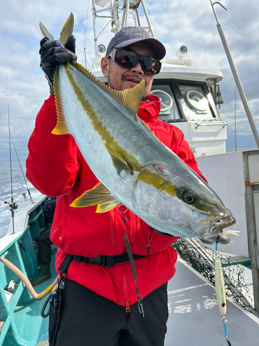 ヒラマサの釣果