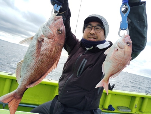 マダイの釣果