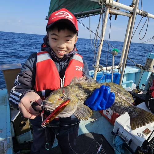 アイナメの釣果