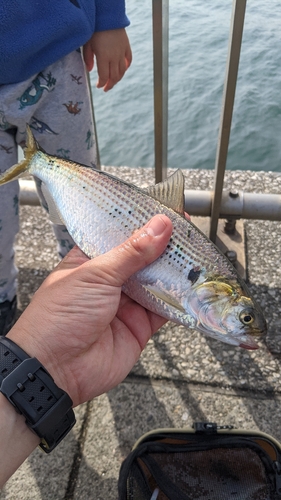 東扇島西公園