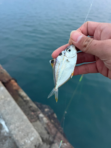 那珂湊港