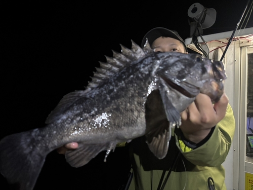 クロソイの釣果