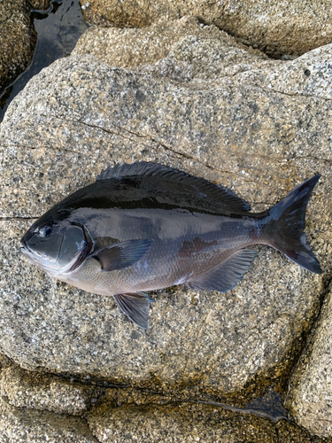 大隅海峡