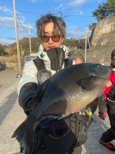 メジナの釣果