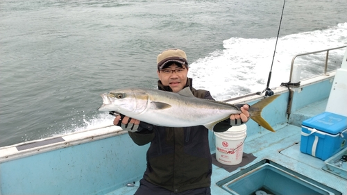 ハマチの釣果